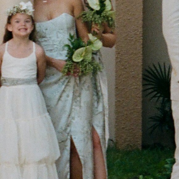 V. Chapman The June Dress in Sage Tapestry - Picture 3 of 3